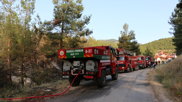 Denizli'deki orman yangını