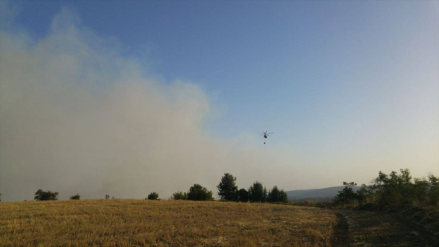 Edirne'de orman yangını