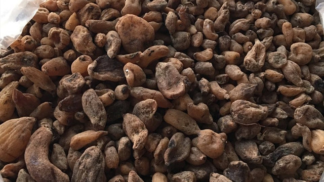 Evinde yabani orkide bulunan kişiye 40 bin lira para cezası