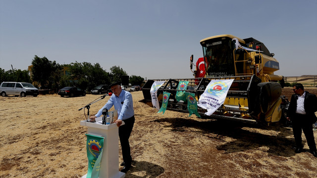 Gaziantep'te buğday hasadı başladı