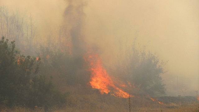 Gaziantep'te orman yangını