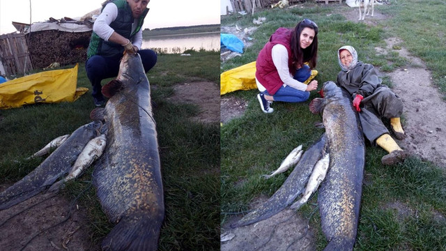 Gölette 2,5 metrelik yayın balığı yakaladı