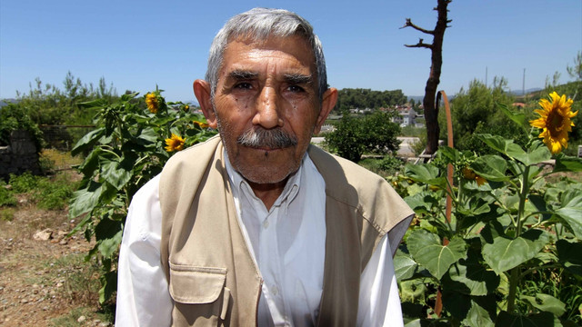 Huzurevinde yetiştirilen kabaklarla Guinness'e başvuracaklar