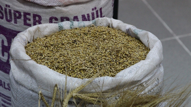 İlk mahsul arpa, borsaya geldi