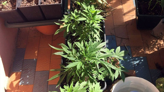 İstanbul'da uyuşturucu operasyonu