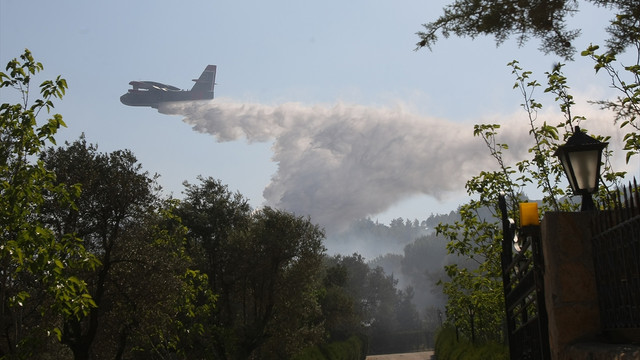 İzmir'de orman yangını