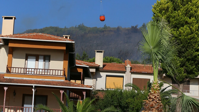 İzmir'de orman yangını