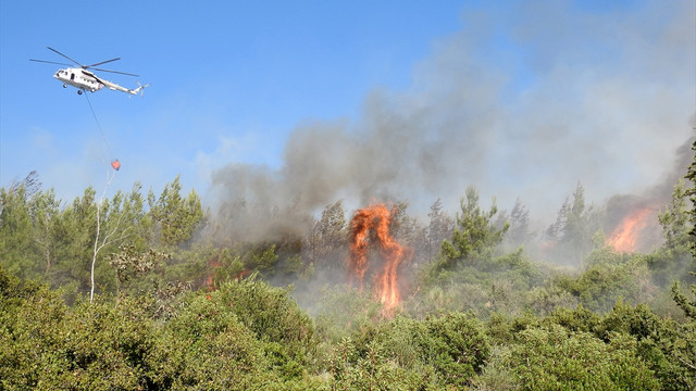 GÜNCELLEME - İzmir'de orman yangını