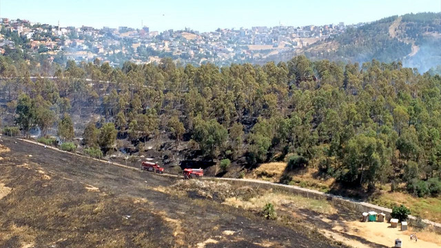 İzmir'de orman yangını