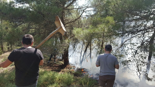 Kastamonu'da orman yangını