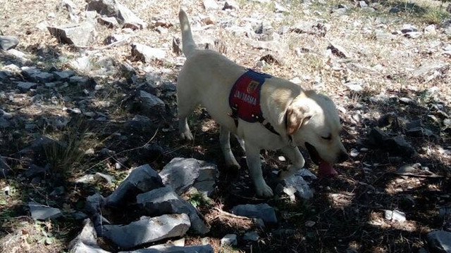 Kaybolan Suriyeli çocuk 10 saat sonra bulundu