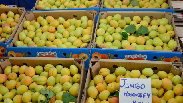 Kayısı bahçede 2, pazarda 6 lira