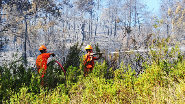 GÜNCELLEME - Kemer'de orman yangını