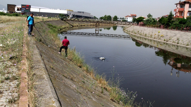 Kocaeli'de sinek larvaları ses dalgalarıyla yok ediliyor