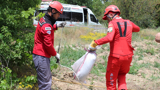 Kuyuya düşen yavru domuz kurtarıldı