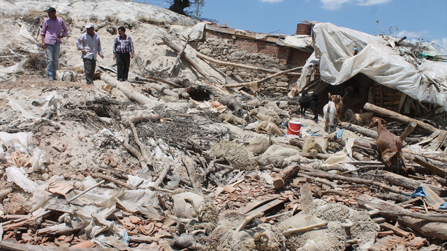 Manisa'da ahır çöktü, 56 koyun telef oldu