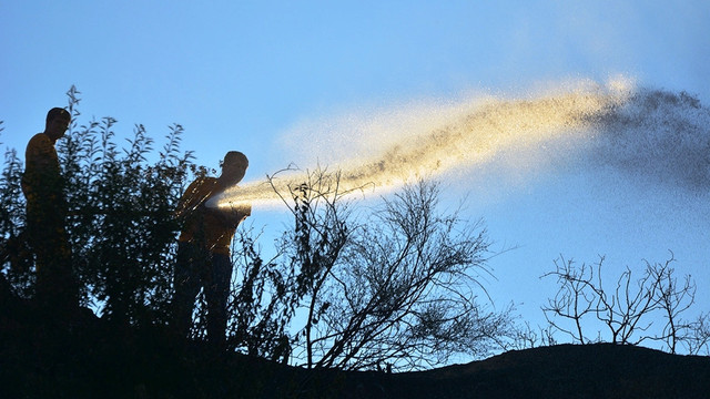 Manisa'da orman yangını