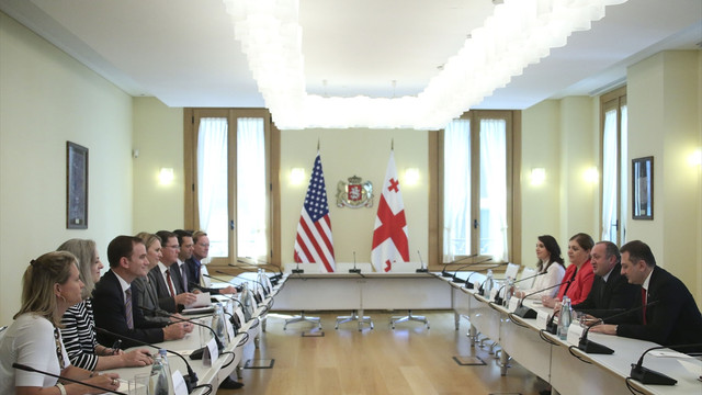 Margvelaşvili-Brink görüşmesi