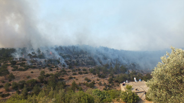 Mersin'deki orman yangını