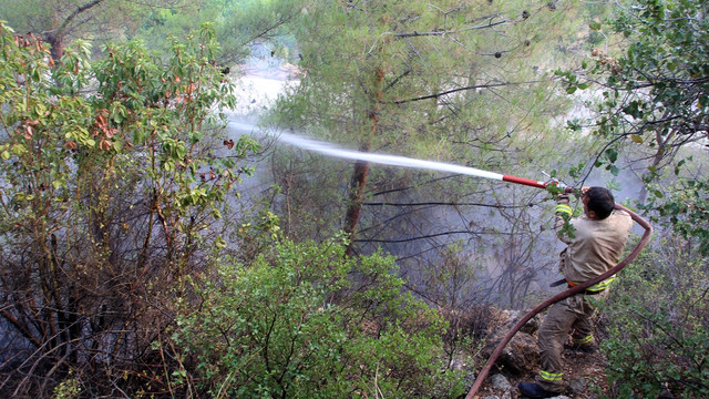 Mersin'de orman yangını