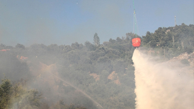 Muğla'da makilik alanda yangın