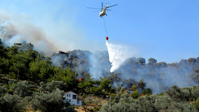 Muğla'da orman yangını