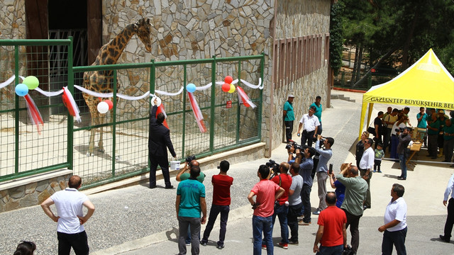 Müzmin bekar Şakir sonunda muradına erdi
