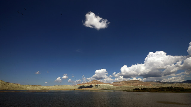 Nallıhan Kuş Cenneti'nde fotoğraf yarışması