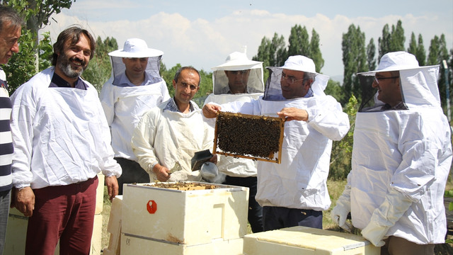 Öğretim üyeleri bal üretecek