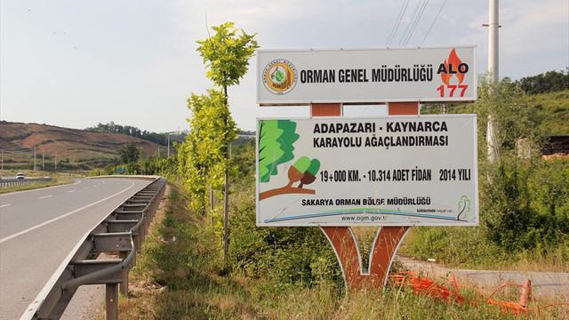 Sakarya'da 57 bin fidan toprakla buluştu