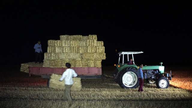 Saman balyasından okul harçlığı