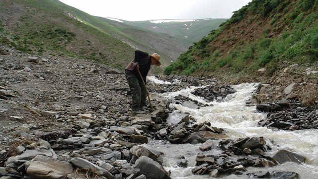 Sele kapılan 800 küçükbaş hayvan telef oldu