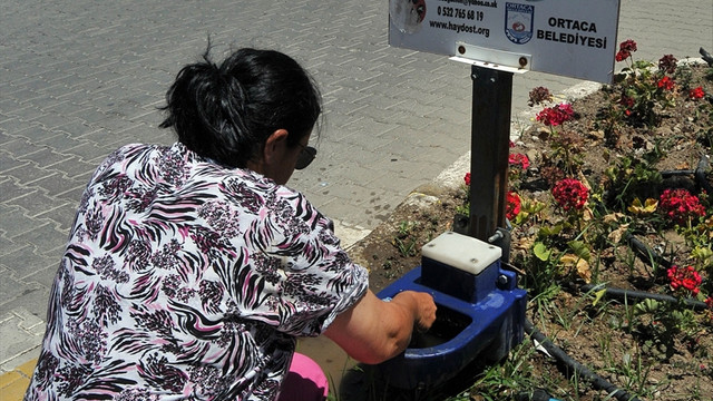 Sıcak havada sokak hayvanları da unutulmadı