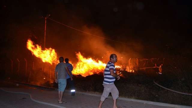 Şiddetli rüzgarda atılan havai fişekler yangına neden oldu