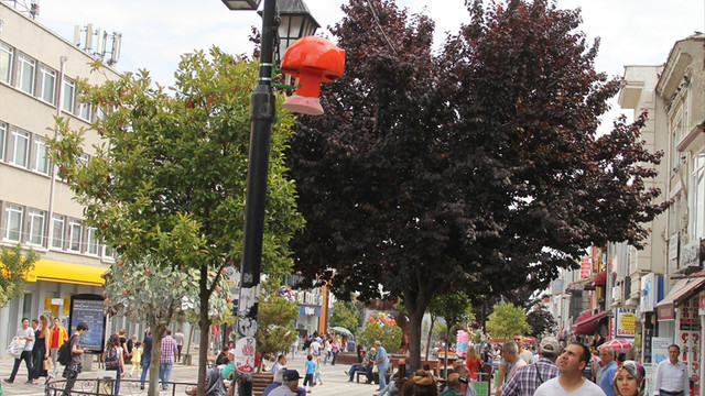 Sivrisinekleri insan kokusu yayarak avlıyor