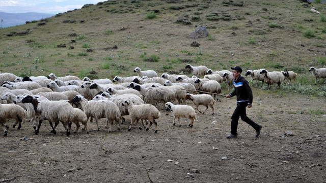 TEOG'daki başarısının sırrı kitap okumak