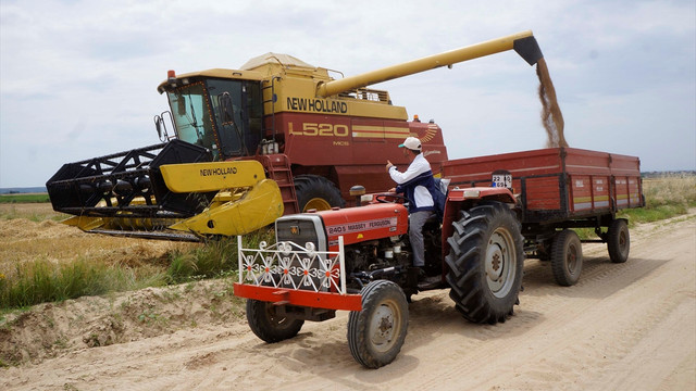 Trakya'da buğday hasadı başladı