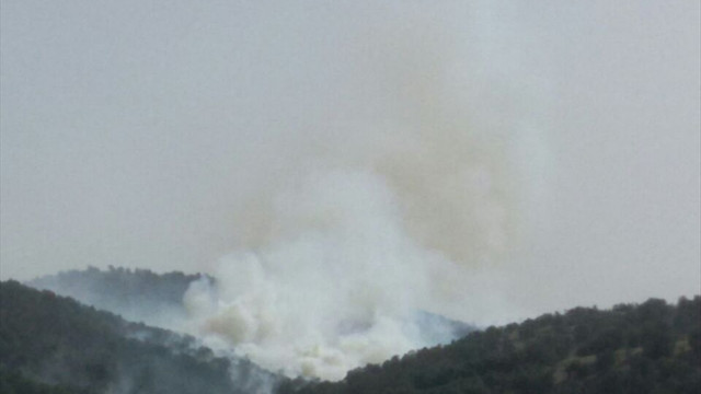 Uşak'ta makilik alanda yangın