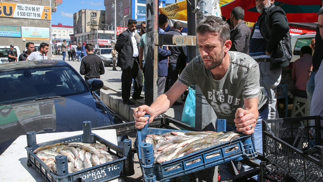 Van'da inci kefali operasyonu