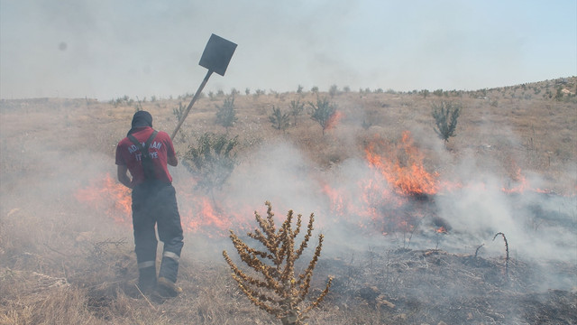 Adıyaman'da yangın