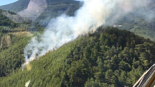 Alanya'da orman yangını