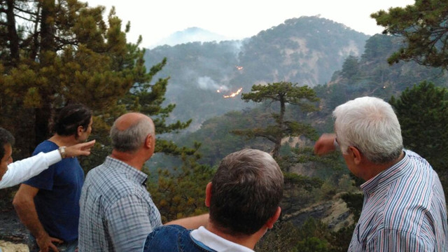 Ankara'daki orman yangını