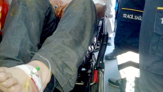 Anne ayının saldırısından yavruları sayesinde kurtuldu