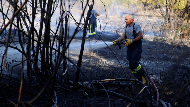 Antalya'da sazlık alanda yangın