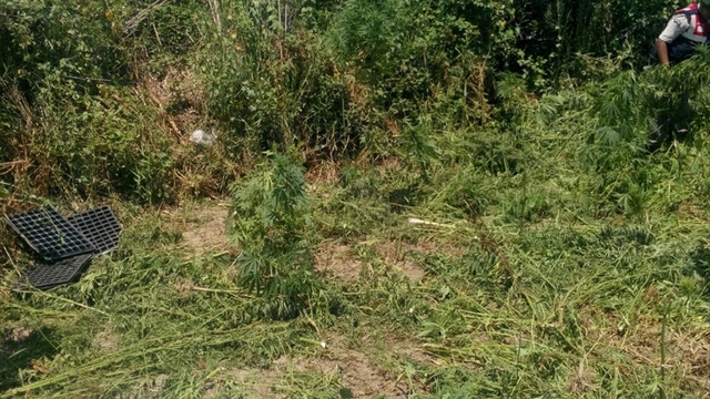 Antalya'da uyuşturucu operasyonu