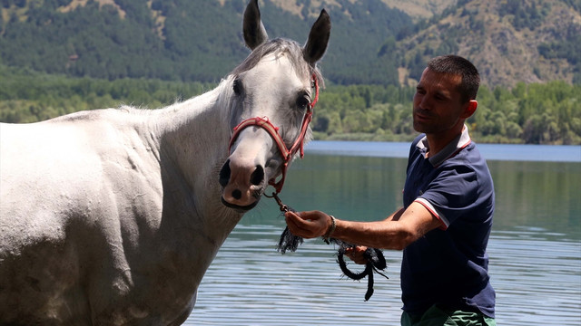 Atlar, milli takım için yarışacak