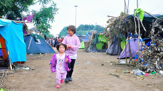 Avrupa'daki sığınmacı krizi