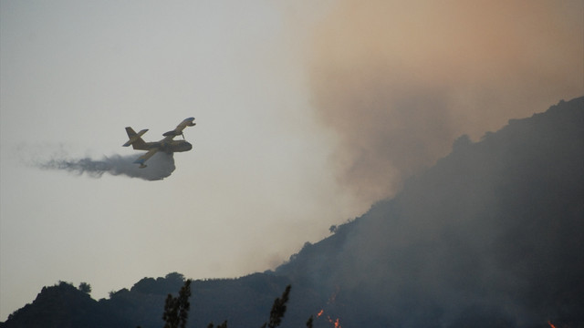 Aydın'da makilik alanda yangın
