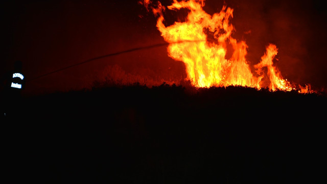 Aydın'da makilik alanda yangın