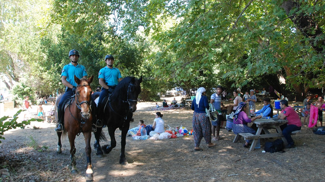 Aydın'daki milli parkta bayram tatili yoğunluğu